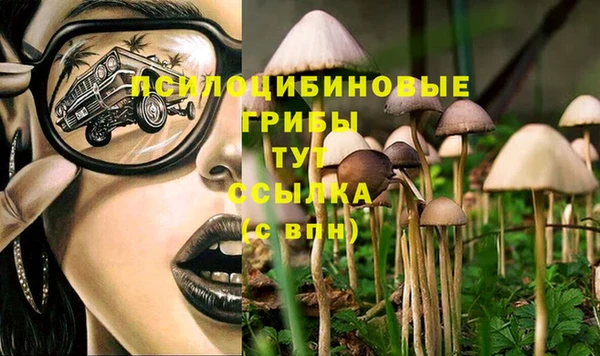 амф Аркадак