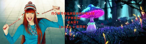 меф Арсеньев