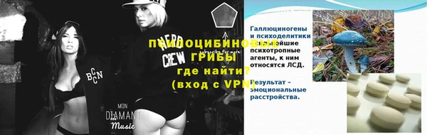 амф Аркадак