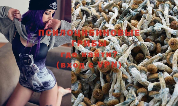 меф Арсеньев