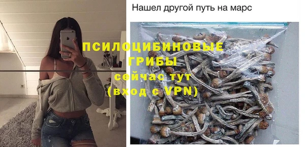 амф Аркадак