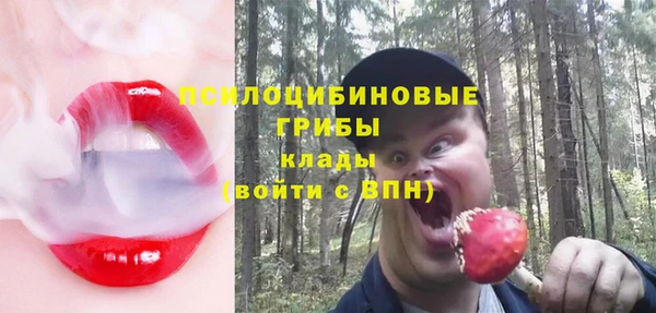 амф Аркадак