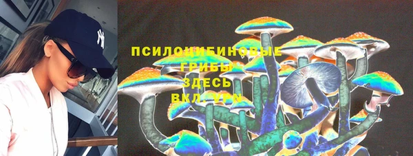 меф Арсеньев