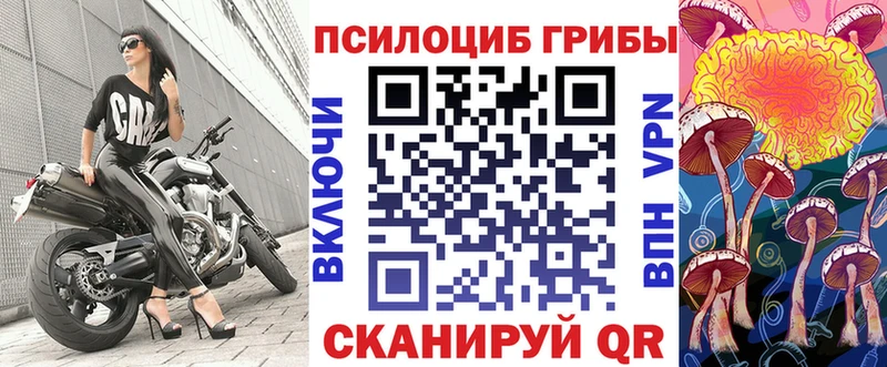 Галлюциногенные грибы прущие грибы  Ржев 