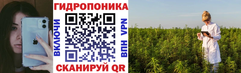купить закладку  kraken зеркало  Канабис Amnesia  Ржев 